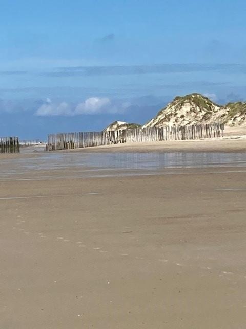 Duinstrand Burgh-Haamstede Exteriör bild