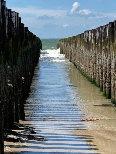 Duinstrand Burgh-Haamstede Exteriör bild