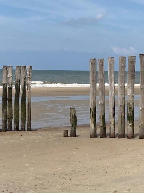 Duinstrand Burgh-Haamstede Exteriör bild
