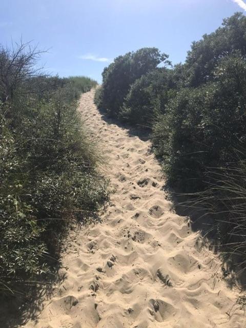 Duinstrand Burgh-Haamstede Exteriör bild